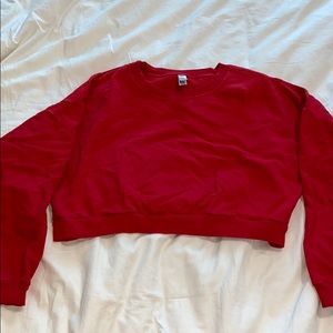 American Apparel Cropped Sweater